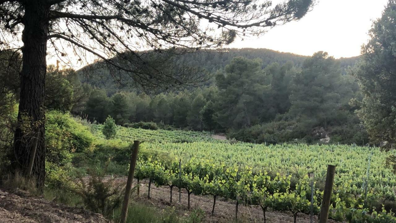 Cal Puig, Enoturismo Rural Entre Vinas Y Bosques Juncosa Eksteriør billede